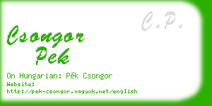 csongor pek business card